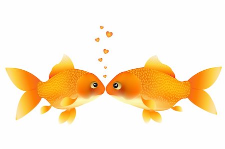 simsearch:400-04689966,k - Two Goldfishes Kissing, Isolated On White Photographie de stock - Aubaine LD & Abonnement, Code: 400-04690031