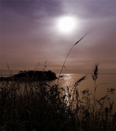 simsearch:400-05327497,k - Relaxing sunset over the Aegean sea on the Turkish Coast. Slightly overcast, with grass in the foreground as a silhouette and a small island in the background Photographie de stock - Aubaine LD & Abonnement, Code: 400-04690164