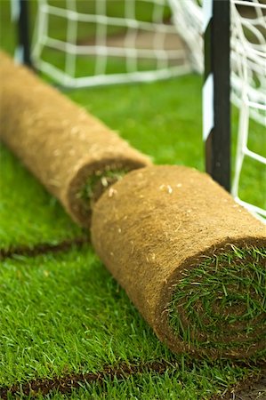 Turf grass rolls on football field - closeup Stock Photo - Budget Royalty-Free & Subscription, Code: 400-04690516