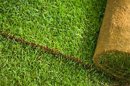 Green turf grass roll closeup and background Stock Photo - Budget Royalty-Free & Subscription, Code: 400-04690518