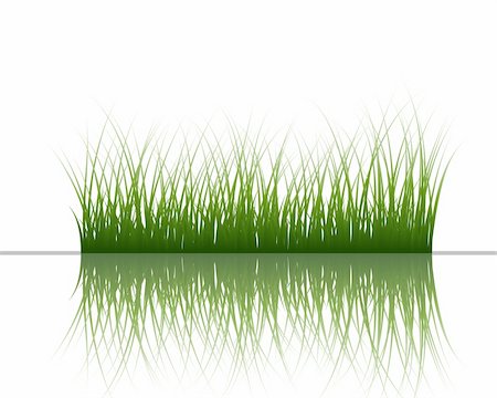 simsearch:400-04804407,k - Vector grass silhouettes background with reflection in water. All objects are separated. Stock Photo - Budget Royalty-Free & Subscription, Code: 400-04691532