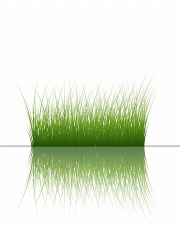 simsearch:400-04804407,k - Vector grass silhouettes background with reflection in water. All objects are separated. Stock Photo - Budget Royalty-Free & Subscription, Code: 400-04691533