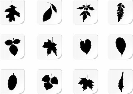 simsearch:640-02950655,k - The set from silhouettes of leaves, is presented in the form of 12 buttons. Stockbilder - Microstock & Abonnement, Bildnummer: 400-04692991