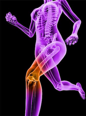 simsearch:400-04164497,k - 3d rendered illustration of a running female skeleton with highlighted knee joint Stock Photo - Budget Royalty-Free & Subscription, Code: 400-04693063