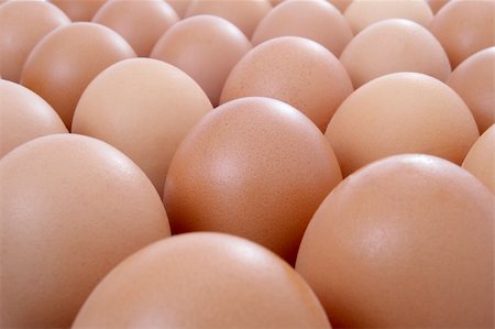 simsearch:400-04943721,k - closeup of egg in row Stock Photo - Budget Royalty-Free & Subscription, Code: 400-04693115