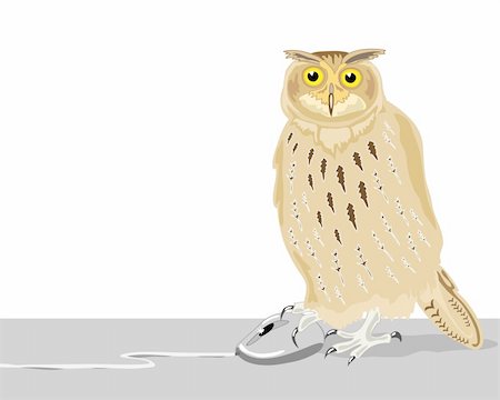 a hand drawn illustration of an owl with a computer mouse on a white background Stock Photo - Budget Royalty-Free & Subscription, Code: 400-04693466