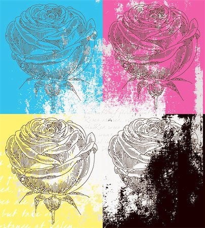 poulayot (artist) - eps8 format roses illustration Stockbilder - Microstock & Abonnement, Bildnummer: 400-04705621