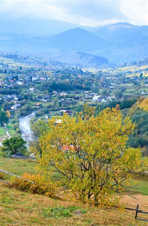 simsearch:400-05243959,k - beautiful autumn mountain and small village on mountainside (Carpathian. Ukraine) Foto de stock - Royalty-Free Super Valor e Assinatura, Número: 400-04705914