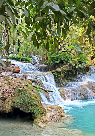 simsearch:400-07676808,k - Waterfall Kuang Si in the jungle near Luang Prabang, Laos Foto de stock - Super Valor sin royalties y Suscripción, Código: 400-04706529