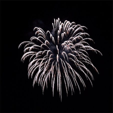 simsearch:400-06178928,k - A delicate bursts of palm-like fireworks in the night sky Stock Photo - Budget Royalty-Free & Subscription, Code: 400-04707371