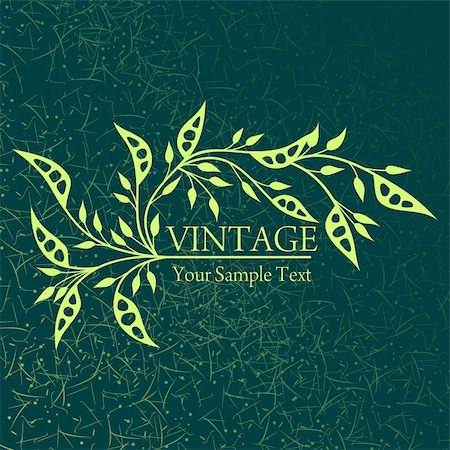 flower packaging design - Vintage background Stock Photo - Budget Royalty-Free & Subscription, Code: 400-04707674