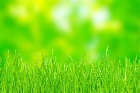 Green grass isolated on green background Stock Photo - Budget Royalty-Free & Subscription, Code: 400-04707721