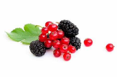 simsearch:400-04423672,k - A handful of fresh ripe mulberries and red currants Stockbilder - Microstock & Abonnement, Bildnummer: 400-04708785