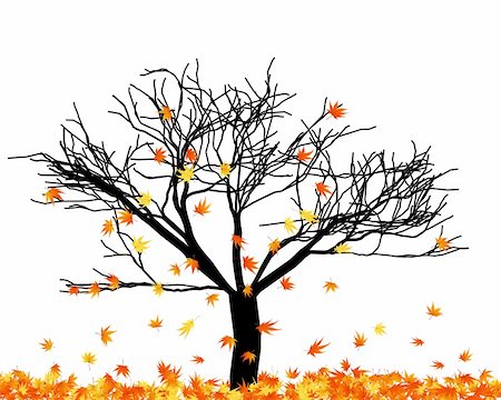 Naked autumn maple tree in its falling leaves.  Vector illustration. Stock Photo - Budget Royalty-Free & Subscription, Code: 400-04709794