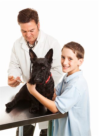 simsearch:400-04117274,k - Veterinarian giving a shot to a little boy's Scotty dog.  White background. Photographie de stock - Aubaine LD & Abonnement, Code: 400-04700639