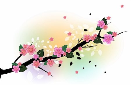 simsearch:400-04697736,k - drawing of a branch of beautiful sakura flower, drawing of a branch of beautiful sakura flower Stock Photo - Budget Royalty-Free & Subscription, Code: 400-04700652