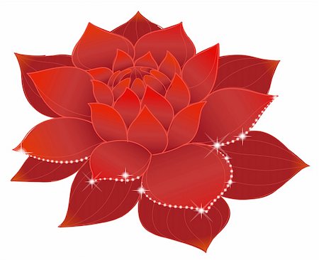 simsearch:400-07169438,k - illustration drawing of beautiful red lotus with shine Stock Photo - Budget Royalty-Free & Subscription, Code: 400-04700937