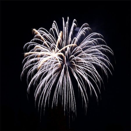 simsearch:400-06178928,k - A delicate bursts of palm-like fireworks in the night sky Stock Photo - Budget Royalty-Free & Subscription, Code: 400-04700932