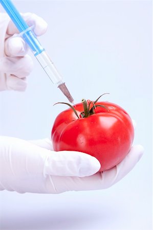 Genetically modified food in laboratory Foto de stock - Super Valor sin royalties y Suscripción, Código: 400-04701111