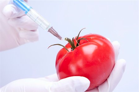 Genetically modified food in laboratory Foto de stock - Super Valor sin royalties y Suscripción, Código: 400-04701112