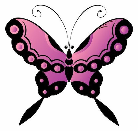 symmetrical animals - illustration drawing of beautiful butterfly in a white background Stock Photo - Budget Royalty-Free & Subscription, Code: 400-04702770