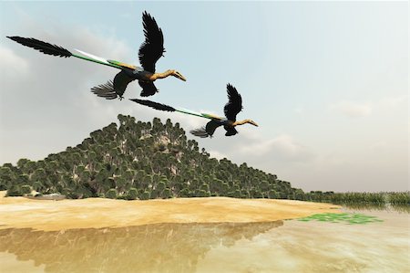 simsearch:400-04236748,k - Two Microraptor dinosaurs fly over a wetland marsh in prehistoric times. Foto de stock - Super Valor sin royalties y Suscripción, Código: 400-04703198