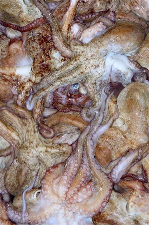 simsearch:400-05332014,k - background octopus texture catch on the mediterranean sea market Stock Photo - Budget Royalty-Free & Subscription, Code: 400-04703988