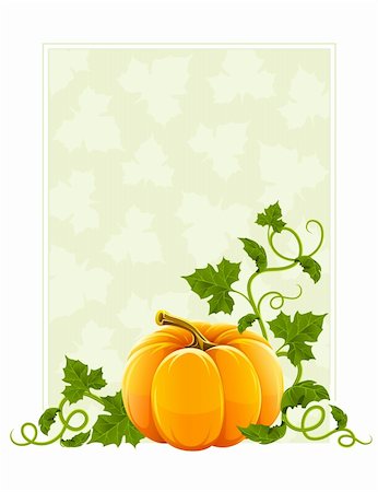 ripe orange pumpkin vegetable with green leaves vector illustration, isolated on white background Stock Photo - Budget Royalty-Free & Subscription, Code: 400-04714232
