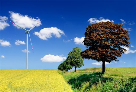 simsearch:400-04983141,k - blissful landscape with field and wind turbine Stock Photo - Budget Royalty-Free & Subscription, Code: 400-04715489