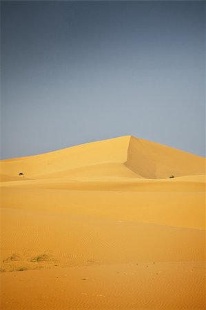 simsearch:400-05192544,k - sahara desert and cloudless moody sky above Stock Photo - Budget Royalty-Free & Subscription, Code: 400-04715490