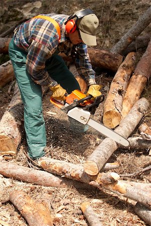 safety gear for logging and forestry - Lumberjack operating a chainsaw in full  protective gear Stock Photo - Budget Royalty-Free & Subscription, Code: 400-04715680