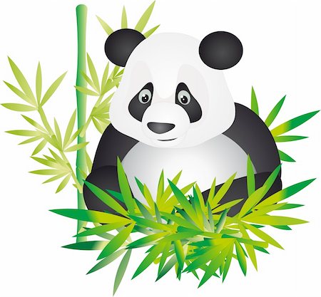 simsearch:400-04743700,k - Bear panda mother and young and bamboo leaves isolated on a white Stockbilder - Microstock & Abonnement, Bildnummer: 400-04715769