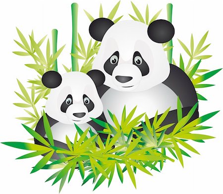 Bear panda and bamboo leaves isolated on a white Stock Photo - Budget Royalty-Free & Subscription, Code: 400-04715770