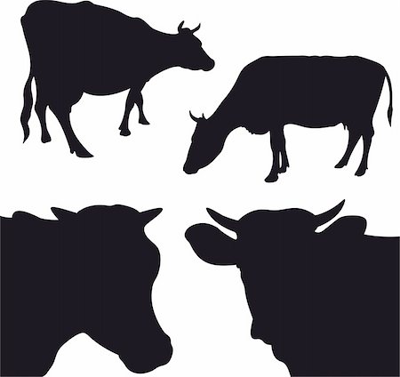 farm pictures milking cow - Cow Vector Illustration isolated on white background Stock Photo - Budget Royalty-Free & Subscription, Code: 400-04715859