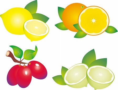 Set of fruit vectors. To see similar, please VISIT MY PORTFOLIO Stock Photo - Budget Royalty-Free & Subscription, Code: 400-04716069