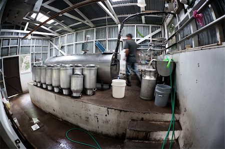 Rustic dairy operation in Costa Rica near Monteverde Photographie de stock - Aubaine LD & Abonnement, Code: 400-04717547