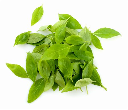 Pile of fresh basil leaves on white background Stock Photo - Budget Royalty-Free & Subscription, Code: 400-04717770