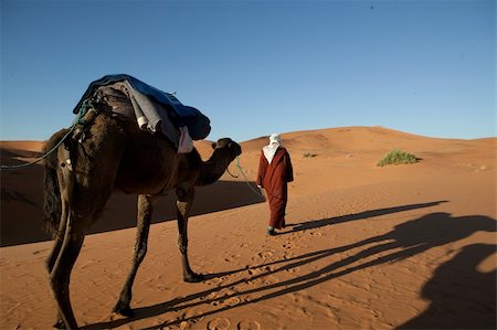 simsearch:400-06100677,k - Picture of camel and man walking through the desert Photographie de stock - Aubaine LD & Abonnement, Code: 400-04717789