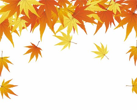 simsearch:400-06066227,k - Pattern of autumn  maples leaves. Vector illustration. Stock Photo - Budget Royalty-Free & Subscription, Code: 400-04717906