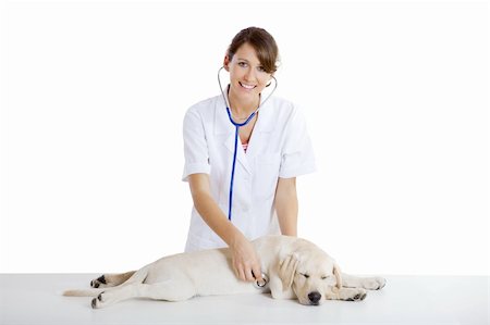 simsearch:400-08372788,k - Young female veterinary taking care of a beautiful labrador dog Stock Photo - Budget Royalty-Free & Subscription, Code: 400-04718406