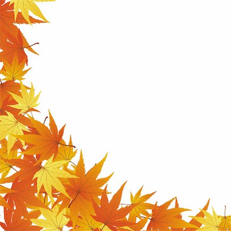 Pattern of autumn  maples leaves. Vector illustration. Stock Photo - Budget Royalty-Free & Subscription, Code: 400-04718539