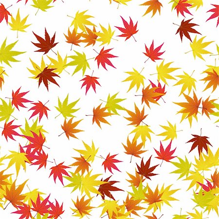 simsearch:400-06066227,k - Seamless pattern of autumn  maples leaves. Vector illustration. Stock Photo - Budget Royalty-Free & Subscription, Code: 400-04718540