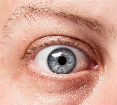 Blue eye of an caucasian male, showing intricate details of the iris and eye. Stock Photo - Budget Royalty-Free & Subscription, Code: 400-04718754