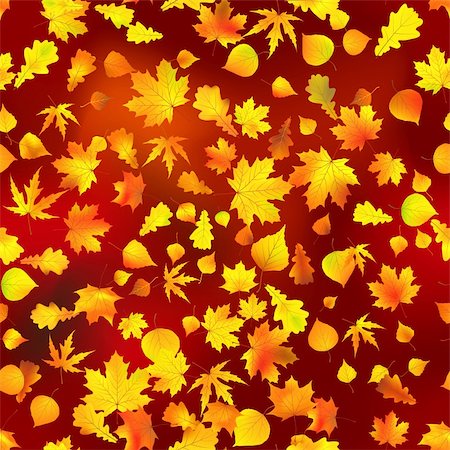 simsearch:400-04279579,k - Stock Vector Illustration: seamless autumnal background with leaves of maple Stock Photo - Budget Royalty-Free & Subscription, Code: 400-04719106