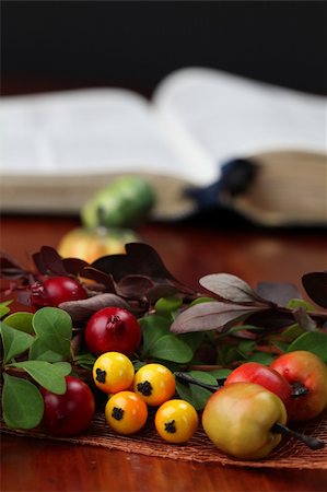 Autumn arrangement and the Bible in background. Shallow dof Stock Photo - Budget Royalty-Free & Subscription, Code: 400-04719774