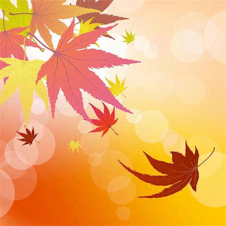simsearch:400-06066227,k - Pattern of autumn  maples leaves. Vector illustration. Stock Photo - Budget Royalty-Free & Subscription, Code: 400-04719795