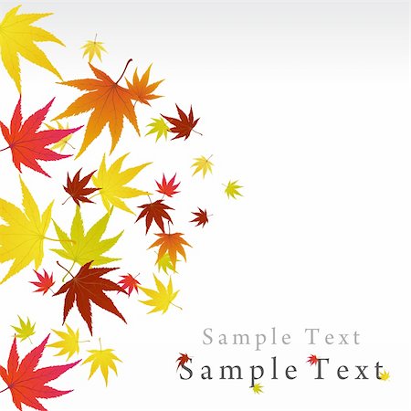 simsearch:400-06066227,k - Pattern of autumn  maples leaves. Vector illustration. Stock Photo - Budget Royalty-Free & Subscription, Code: 400-04719796