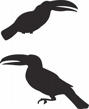 silhouettes of african birds - Bird vector. Stock Photo - Budget Royalty-Free & Subscription, Code: 400-04719920