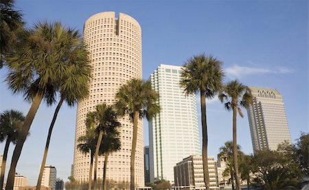 Palms and skyscrapers in Florida Foto de stock - Super Valor sin royalties y Suscripción, Código: 400-04710612