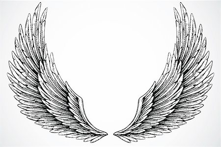 simsearch:400-04710729,k - Set of illustrated wings. Easy to edit and scale to any size. Foto de stock - Super Valor sin royalties y Suscripción, Código: 400-04711187